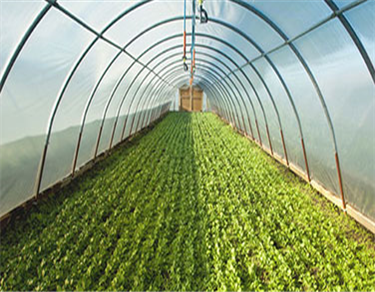 Agro based Industries. (Sugar/ Malt/ Rice Bran Oil/ Other Commodities)