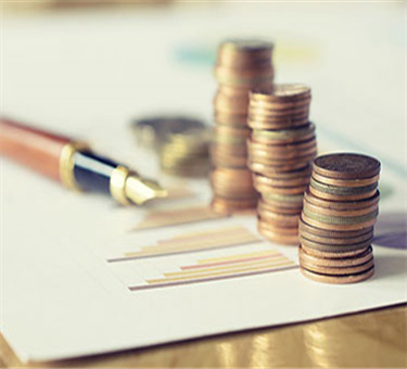 Banking and Insurance/ Non-Banking Financial Institutions